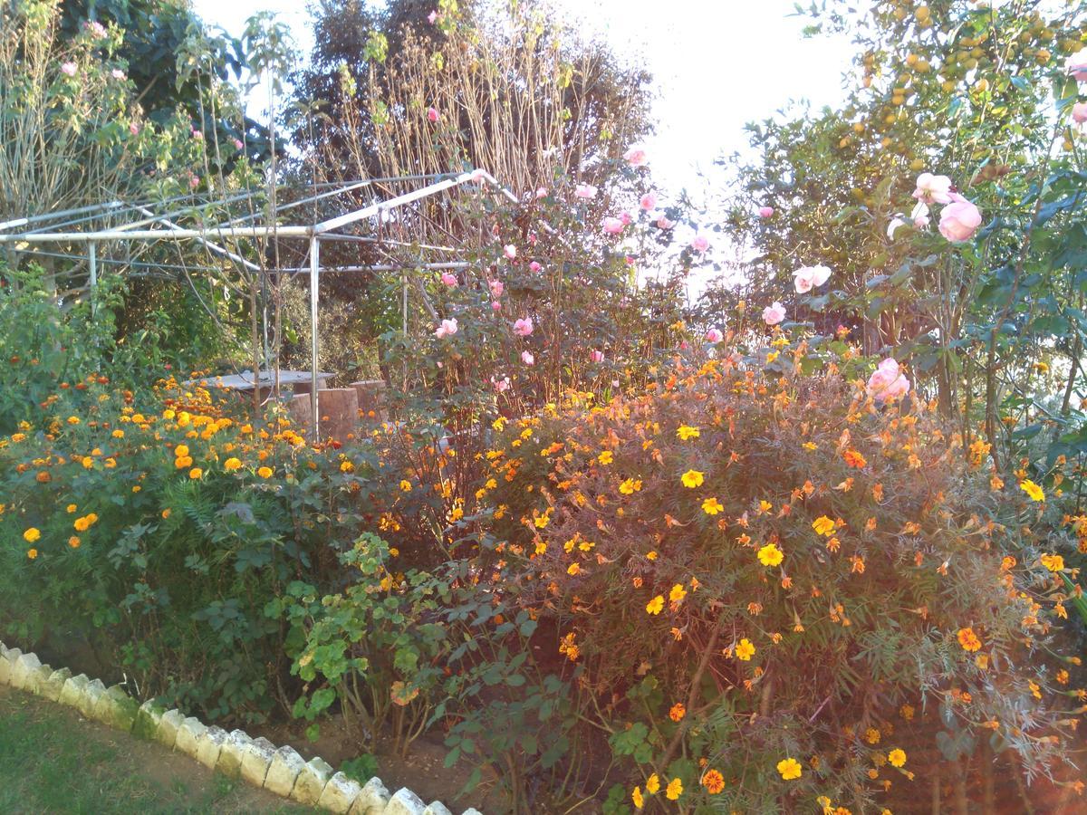 Maa Ananda Mayee Guest House Binsar Exteriör bild
