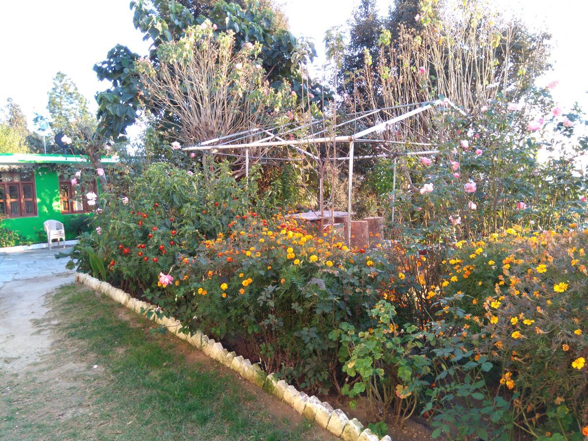 Maa Ananda Mayee Guest House Binsar Exteriör bild