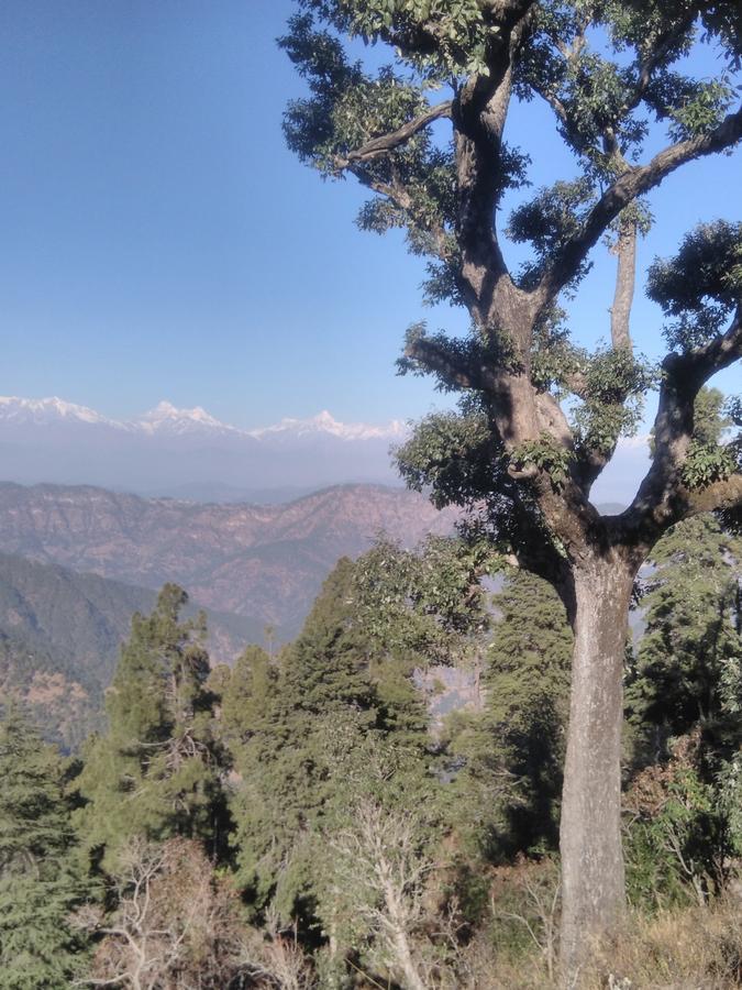 Maa Ananda Mayee Guest House Binsar Exteriör bild